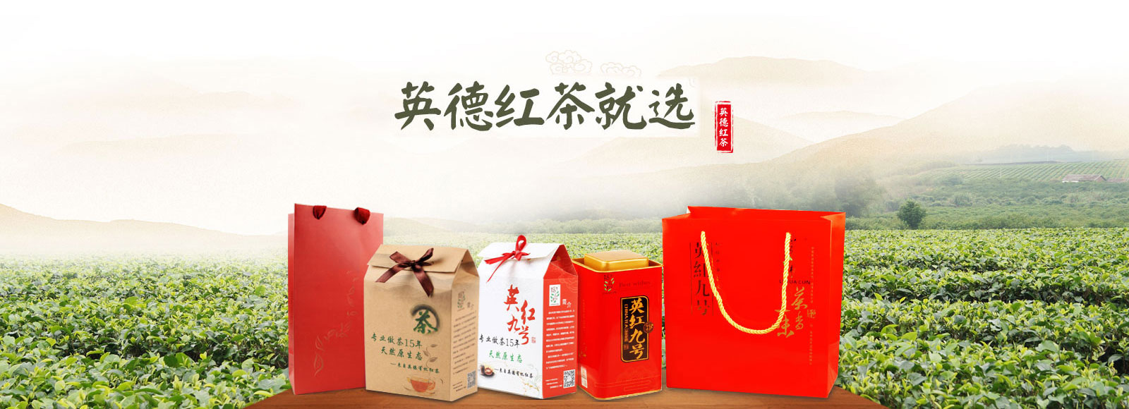 宝威体育官网 - B2B企业定制与体育设施建设全景