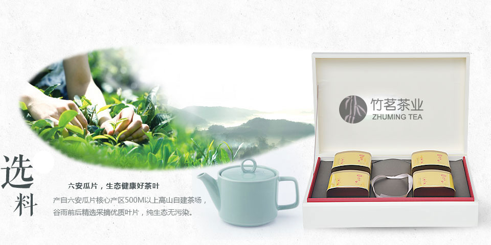 宝威体育卓越B2B企业级服务体系6